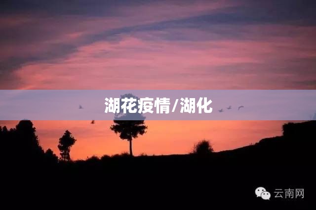 湖花疫情/湖化