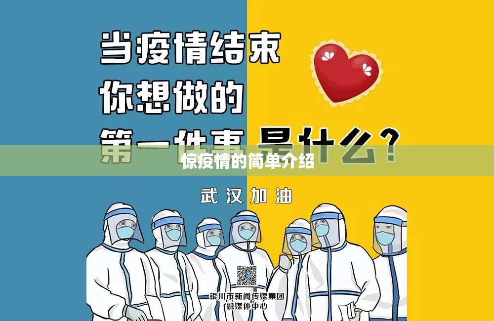 惊疫情的简单介绍 惊疫情的简单介绍