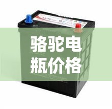 骆驼电瓶价格表/骆驼电瓶价格表12v60