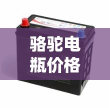 骆驼电瓶价格表/骆驼电瓶价格表12v60 骆驼电瓶价格表/骆驼电瓶价格表12v60
