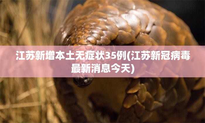 江苏新增本土无症状35例(江苏新冠病毒最新消息今天) 江苏新增本土无症状35例(江苏新冠病毒最新消息今天)