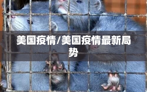 美国疫情/美国疫情最新局势 美国疫情/美国疫情最新局势