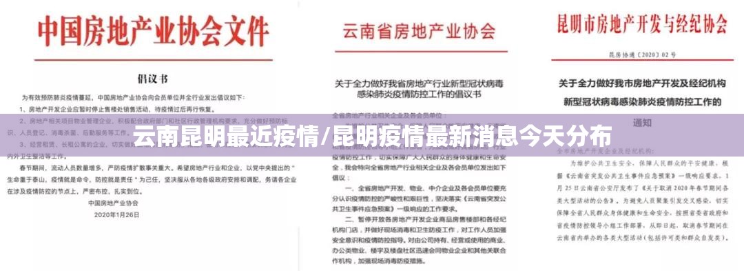 云南昆明最近疫情/昆明疫情最新消息今天分布 云南昆明最近疫情/昆明疫情最新消息今天分布