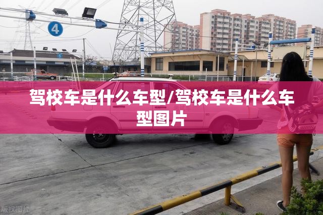 驾校车是什么车型/驾校车是什么车型图片 驾校车是什么车型/驾校车是什么车型图片