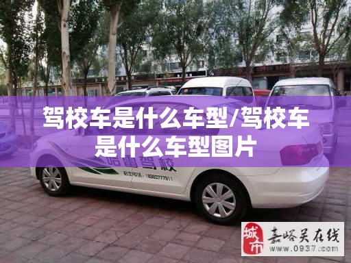驾校车是什么车型/驾校车是什么车型图片 驾校车是什么车型/驾校车是什么车型图片