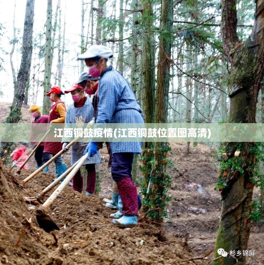 江西铜鼓疫情(江西铜鼓位置图高清) 江西铜鼓疫情(江西铜鼓位置图高清)