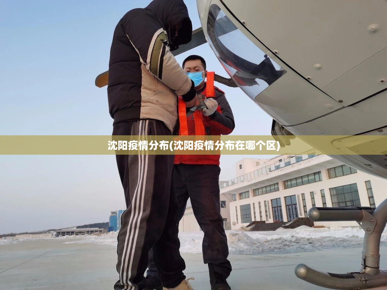 沈阳疫情分布(沈阳疫情分布在哪个区) 沈阳疫情分布(沈阳疫情分布在哪个区)