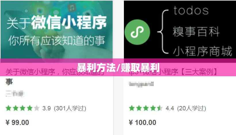 暴利方法/赚取暴利