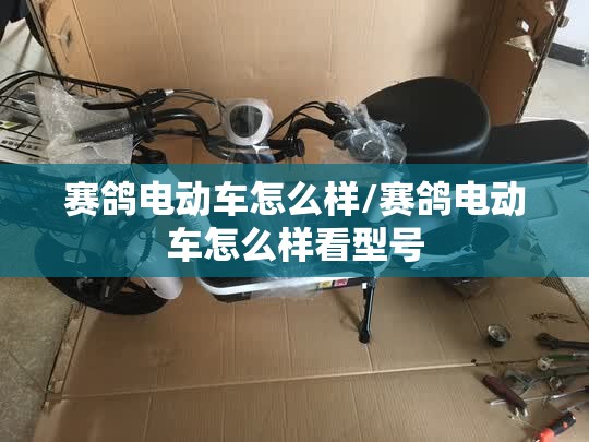 赛鸽电动车怎么样/赛鸽电动车怎么样看型号 赛鸽电动车怎么样/赛鸽电动车怎么样看型号