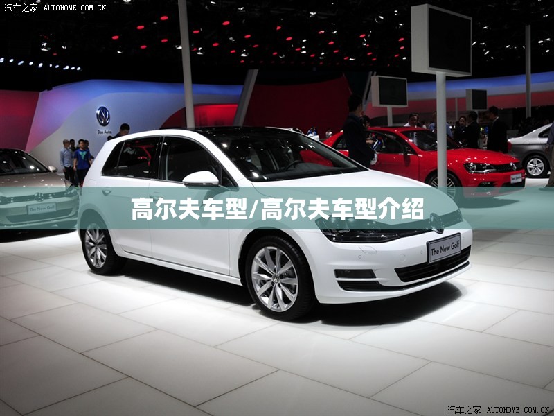 高尔夫车型/高尔夫车型介绍 高尔夫车型/高尔夫车型介绍