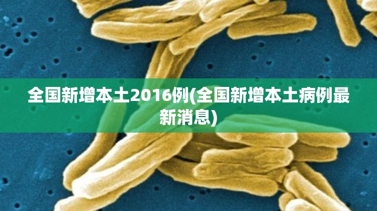 全国新增本土2016例(全国新增本土病例最新消息)