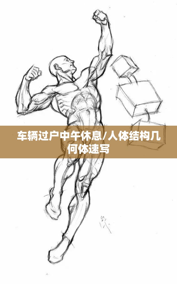 车辆过户中午休息/人体结构几何体速写 车辆过户中午休息/人体结构几何体速写