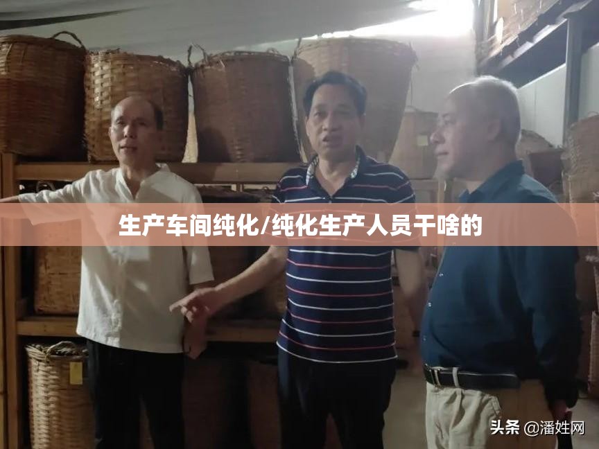 生产车间纯化/纯化生产人员干啥的