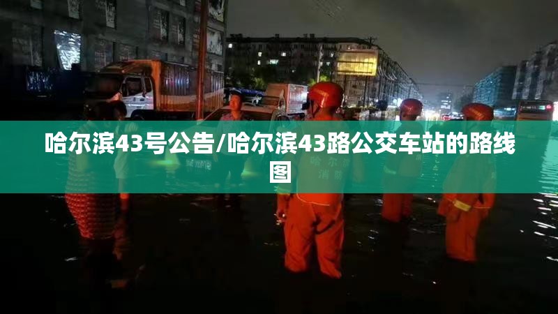 哈尔滨43号公告/哈尔滨43路公交车站的路线图