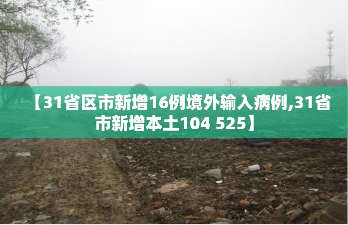 【31省区市新增16例境外输入病例,31省市新增本土104 525】