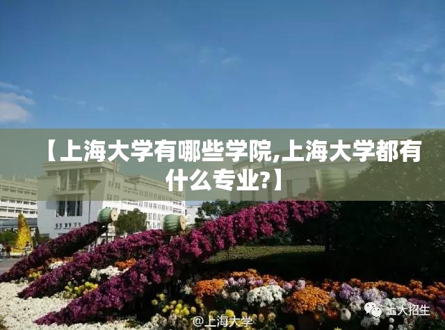 【上海大学有哪些学院,上海大学都有什么专业?】