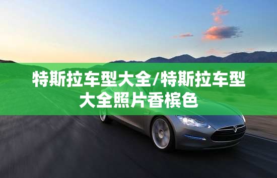 特斯拉车型大全/特斯拉车型大全照片香槟色 特斯拉车型大全/特斯拉车型大全照片香槟色