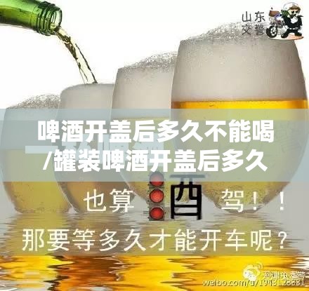 啤酒开盖后多久不能喝/罐装啤酒开盖后多久不能喝 啤酒开盖后多久不能喝/罐装啤酒开盖后多久不能喝