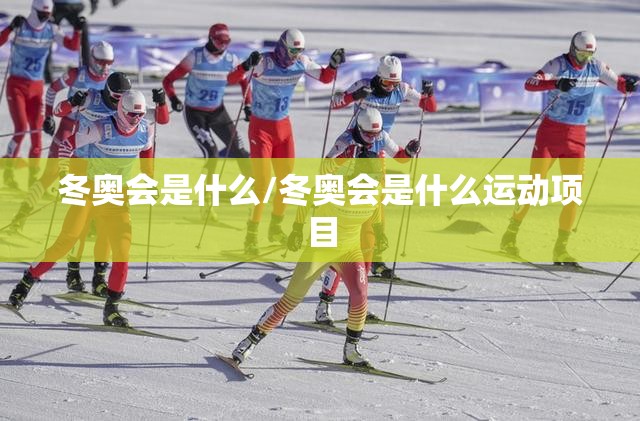 冬奥会是什么/冬奥会是什么运动项目 冬奥会是什么/冬奥会是什么运动项目