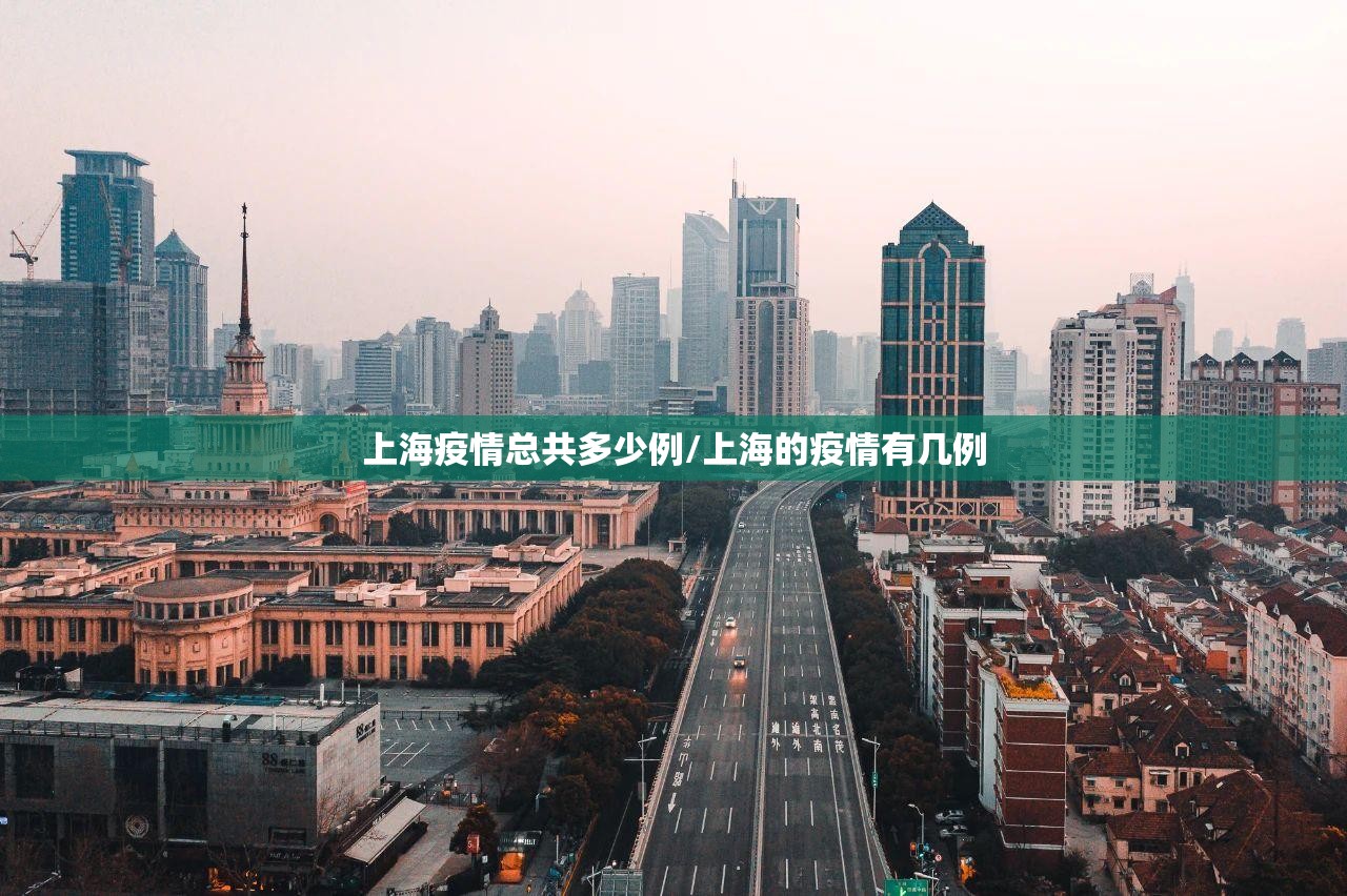 上海疫情总共多少例/上海的疫情有几例 上海疫情总共多少例/上海的疫情有几例
