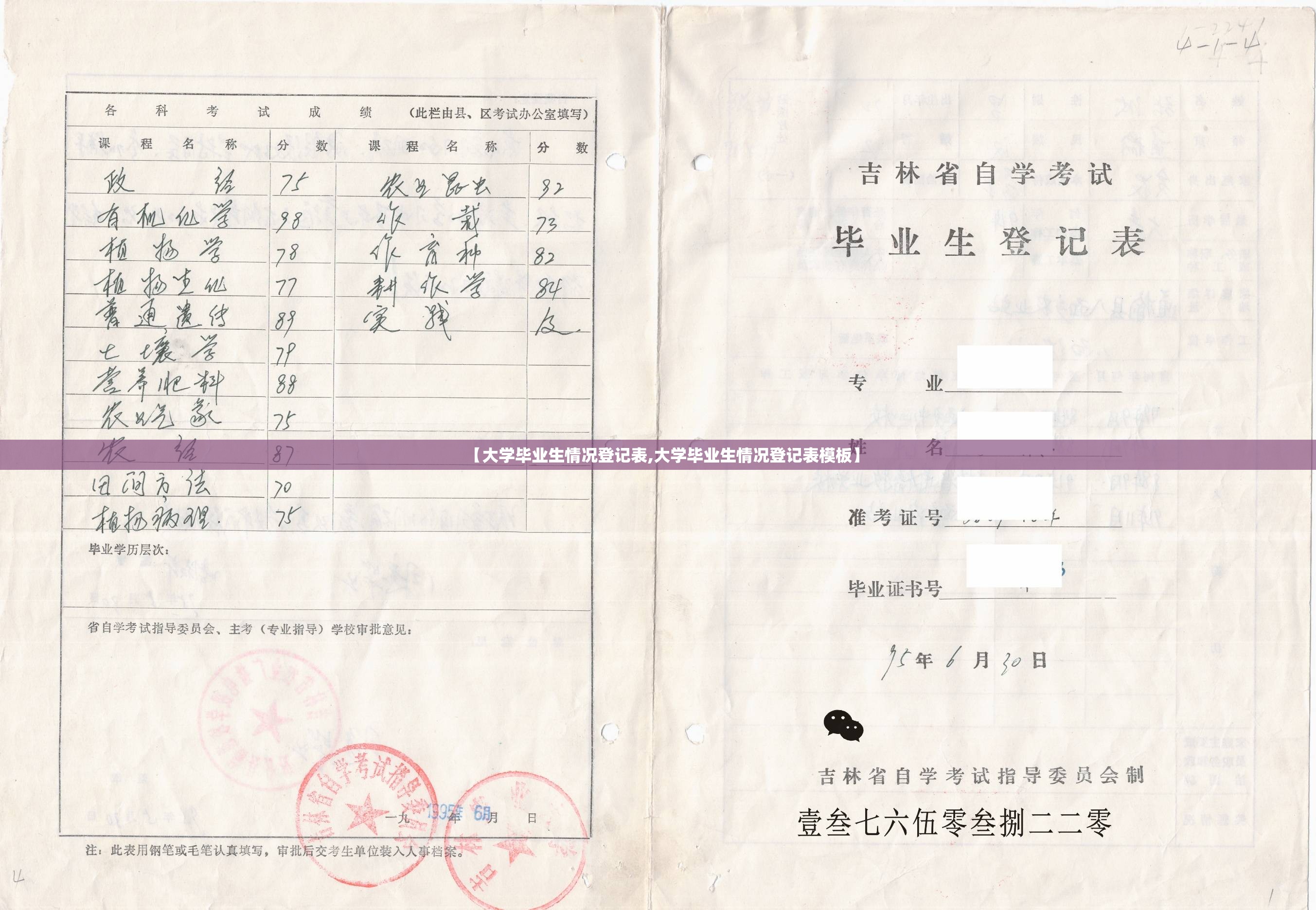 【大学毕业生情况登记表,大学毕业生情况登记表模板】 【大学毕业生情况登记表,大学毕业生情况登记表模板】