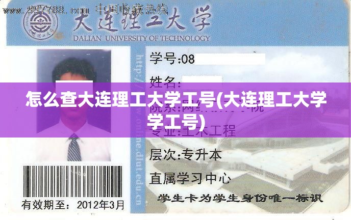 怎么查大连理工大学工号(大连理工大学学工号) 怎么查大连理工大学工号(大连理工大学学工号)