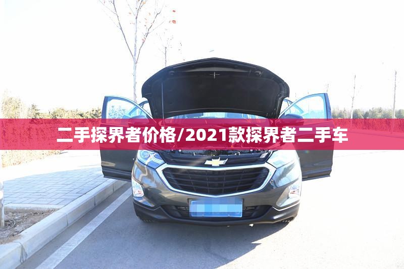 二手探界者价格/2021款探界者二手车 二手探界者价格/2021款探界者二手车