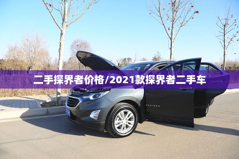 二手探界者价格/2021款探界者二手车 二手探界者价格/2021款探界者二手车