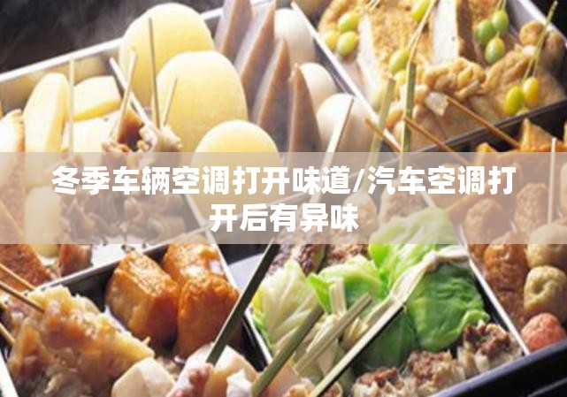 冬季车辆空调打开味道/汽车空调打开后有异味 冬季车辆空调打开味道/汽车空调打开后有异味