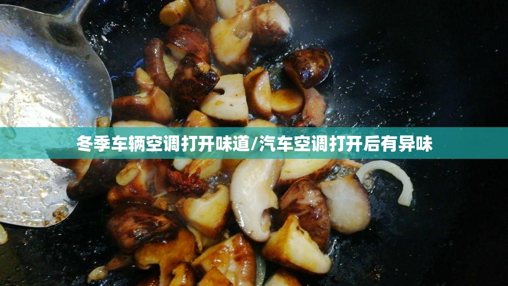 冬季车辆空调打开味道/汽车空调打开后有异味 冬季车辆空调打开味道/汽车空调打开后有异味