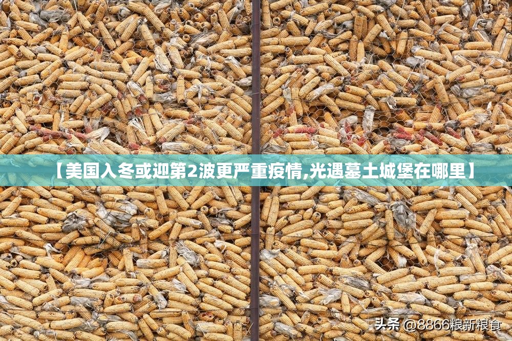【美国入冬或迎第2波更严重疫情,光遇墓土城堡在哪里】