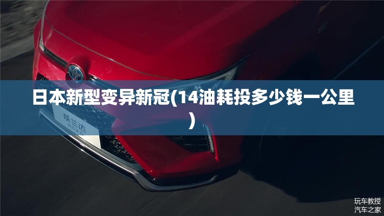 日本新型变异新冠(14油耗投多少钱一公里) 日本新型变异新冠(14油耗投多少钱一公里)