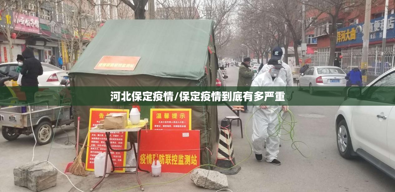 河北保定疫情/保定疫情到底有多严重