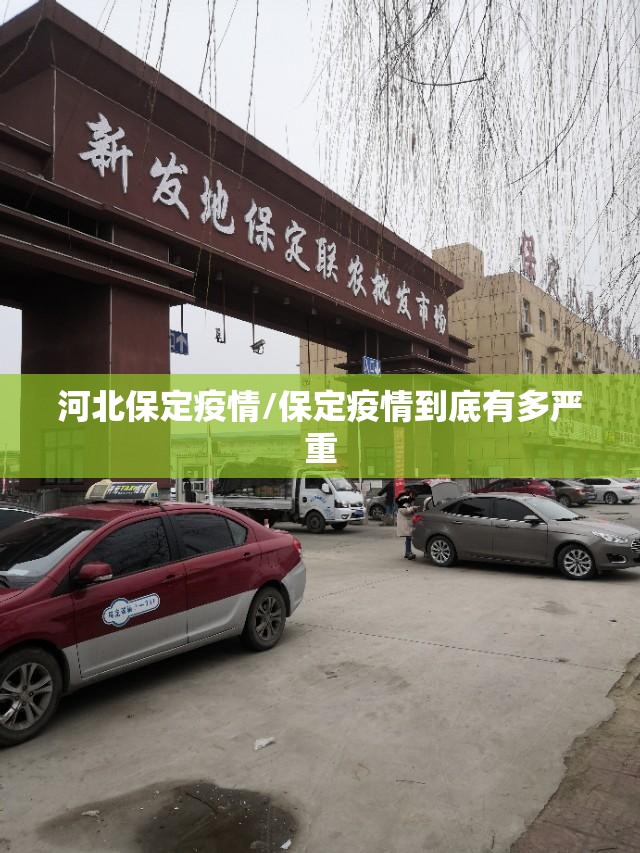 河北保定疫情/保定疫情到底有多严重