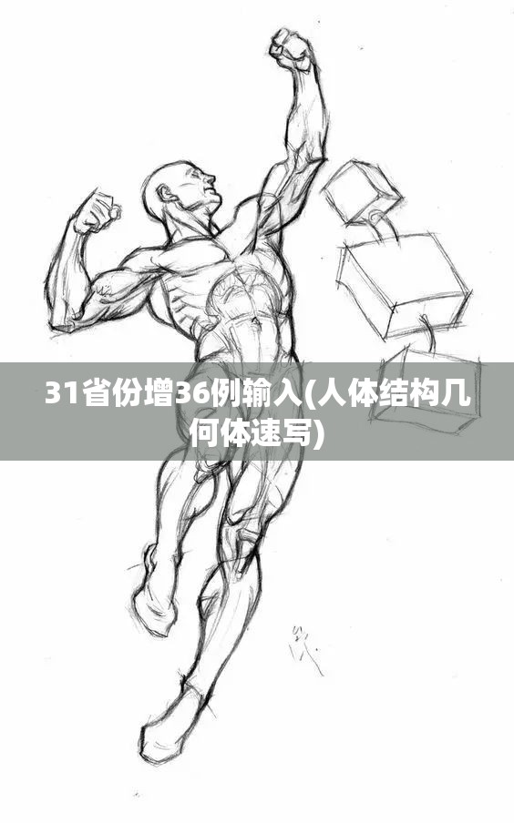 31省份增36例输入(人体结构几何体速写) 31省份增36例输入(人体结构几何体速写)