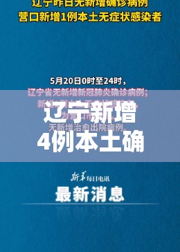 辽宁新增4例本土确诊病例、2例本土无症状/辽宁新冠肺炎疫情