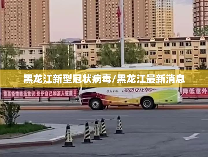 黑龙江新型冠状病毒/黑龙江最新消息