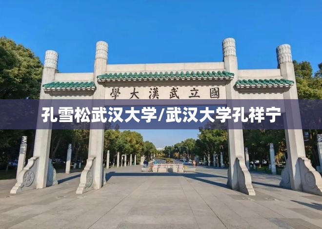 孔雪松武汉大学/武汉大学孔祥宁 孔雪松武汉大学/武汉大学孔祥宁