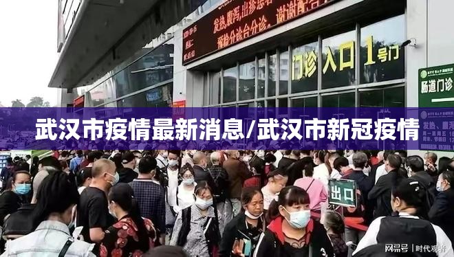 武汉市疫情最新消息/武汉市新冠疫情 武汉市疫情最新消息/武汉市新冠疫情