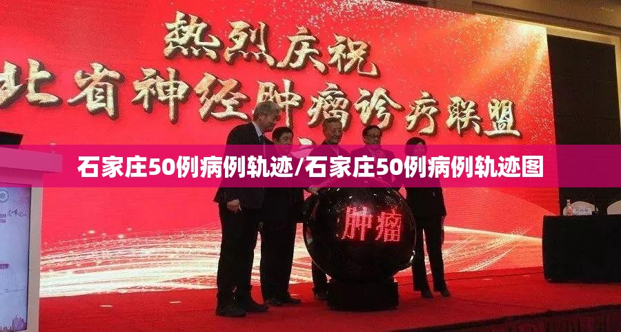 石家庄50例病例轨迹/石家庄50例病例轨迹图