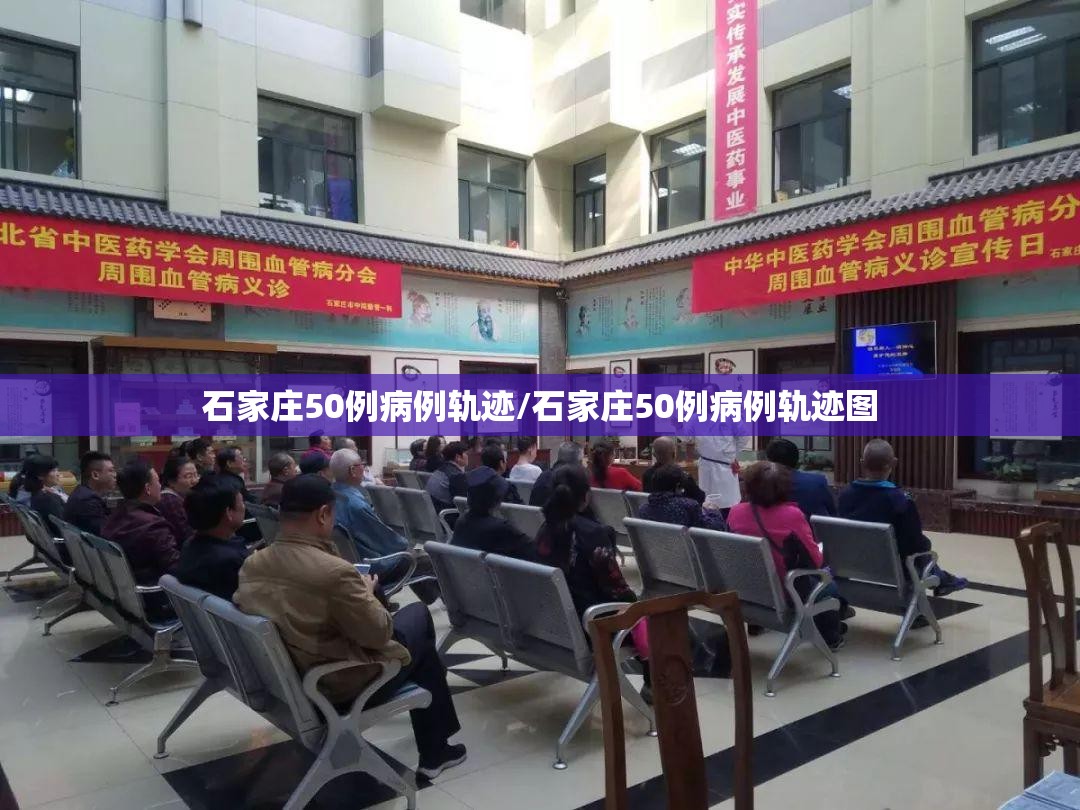 石家庄50例病例轨迹/石家庄50例病例轨迹图 石家庄50例病例轨迹/石家庄50例病例轨迹图