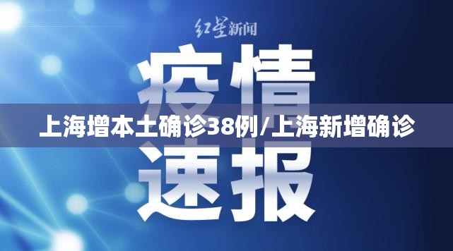 上海增本土确诊38例/上海新增确诊