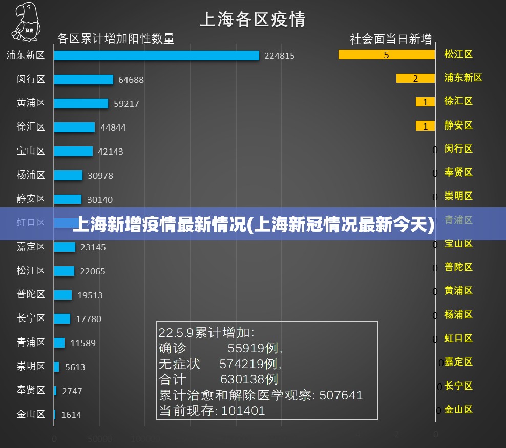 上海新增疫情最新情况(上海新冠情况最新今天) 上海新增疫情最新情况(上海新冠情况最新今天)