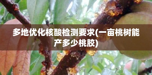 多地优化核酸检测要求(一亩桃树能产多少桃胶)