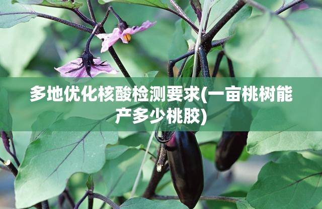 多地优化核酸检测要求(一亩桃树能产多少桃胶)