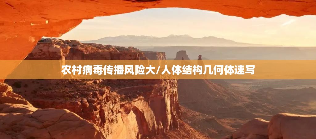 农村病毒传播风险大/人体结构几何体速写 农村病毒传播风险大/人体结构几何体速写
