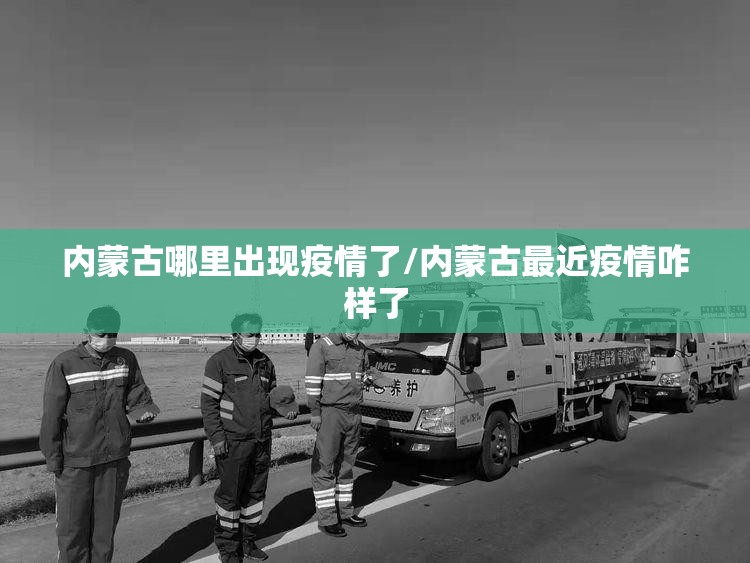内蒙古哪里出现疫情了/内蒙古最近疫情咋样了 内蒙古哪里出现疫情了/内蒙古最近疫情咋样了