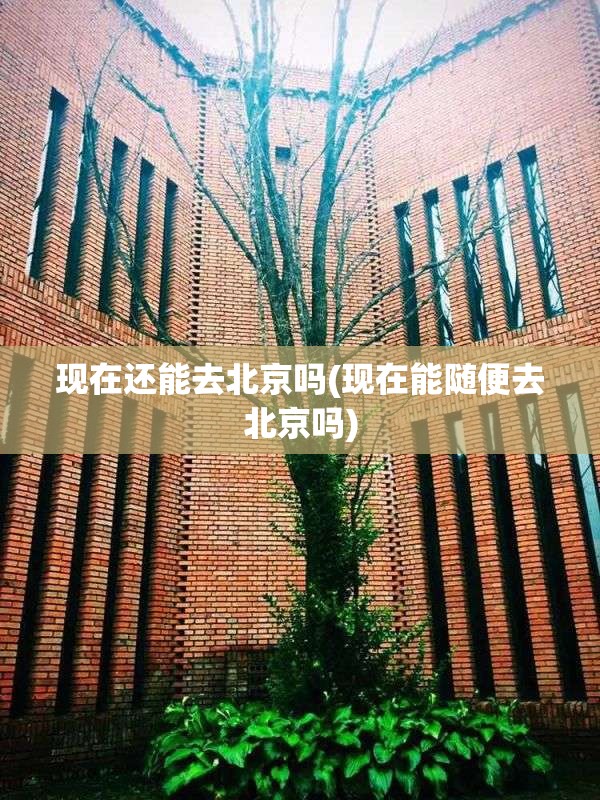 现在还能去北京吗(现在能随便去北京吗) 现在还能去北京吗(现在能随便去北京吗)