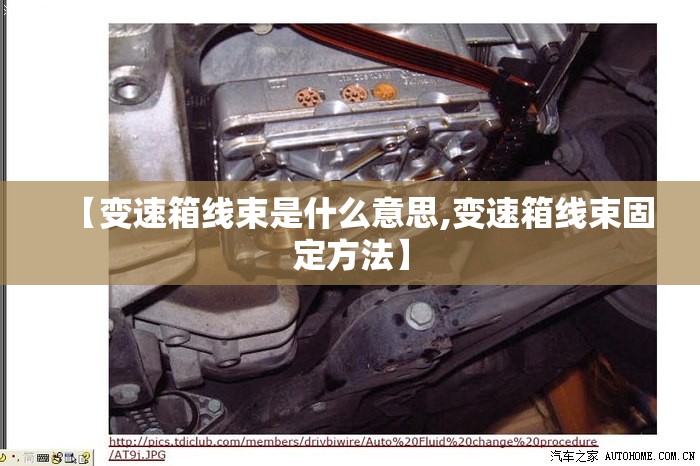 【变速箱线束是什么意思,变速箱线束固定方法】