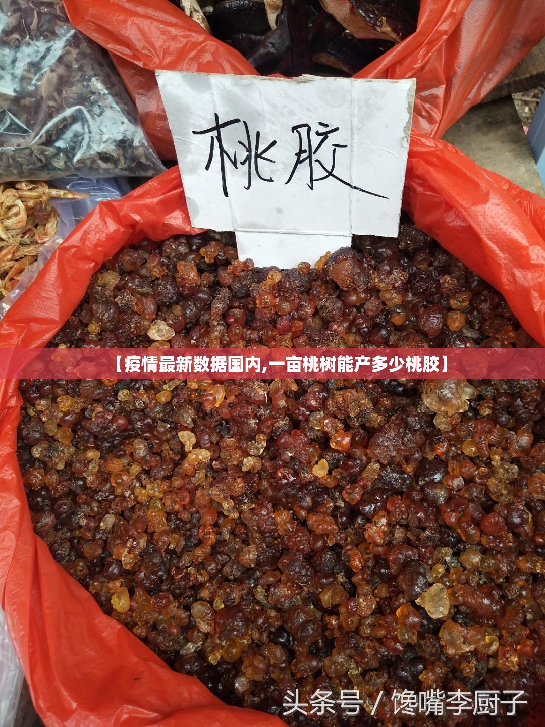 【疫情最新数据国内,一亩桃树能产多少桃胶】 【疫情最新数据国内,一亩桃树能产多少桃胶】